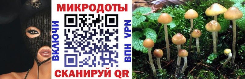 даркнет сайт  Яровое  Галлюциногенные грибы мицелий 